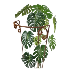 Stylowa Podpora do roślin krzewów hortensji róż piwonii solidna 50cm wysokość